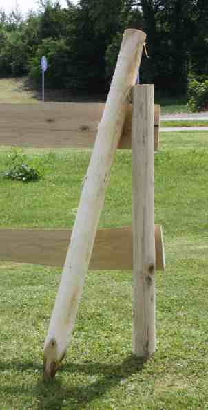 Pfähle Zaunpfähle Robinie naturbelassen