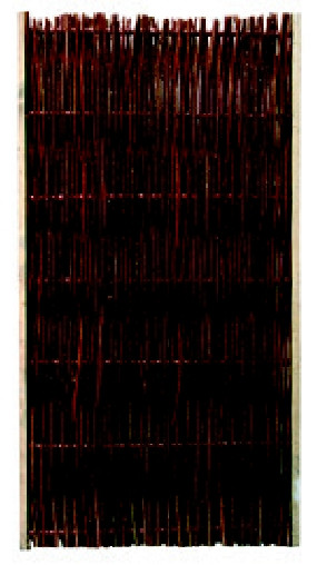 Sichtschutz Weide Weidenzaun