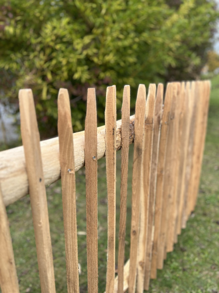 Master Zaunlatten Robinie Staketen lose