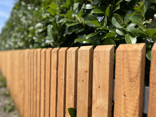 Lärche Zaunlatten sägerau 20/70 mm