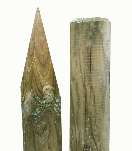 Pfähle in kesseldruckimprägniert